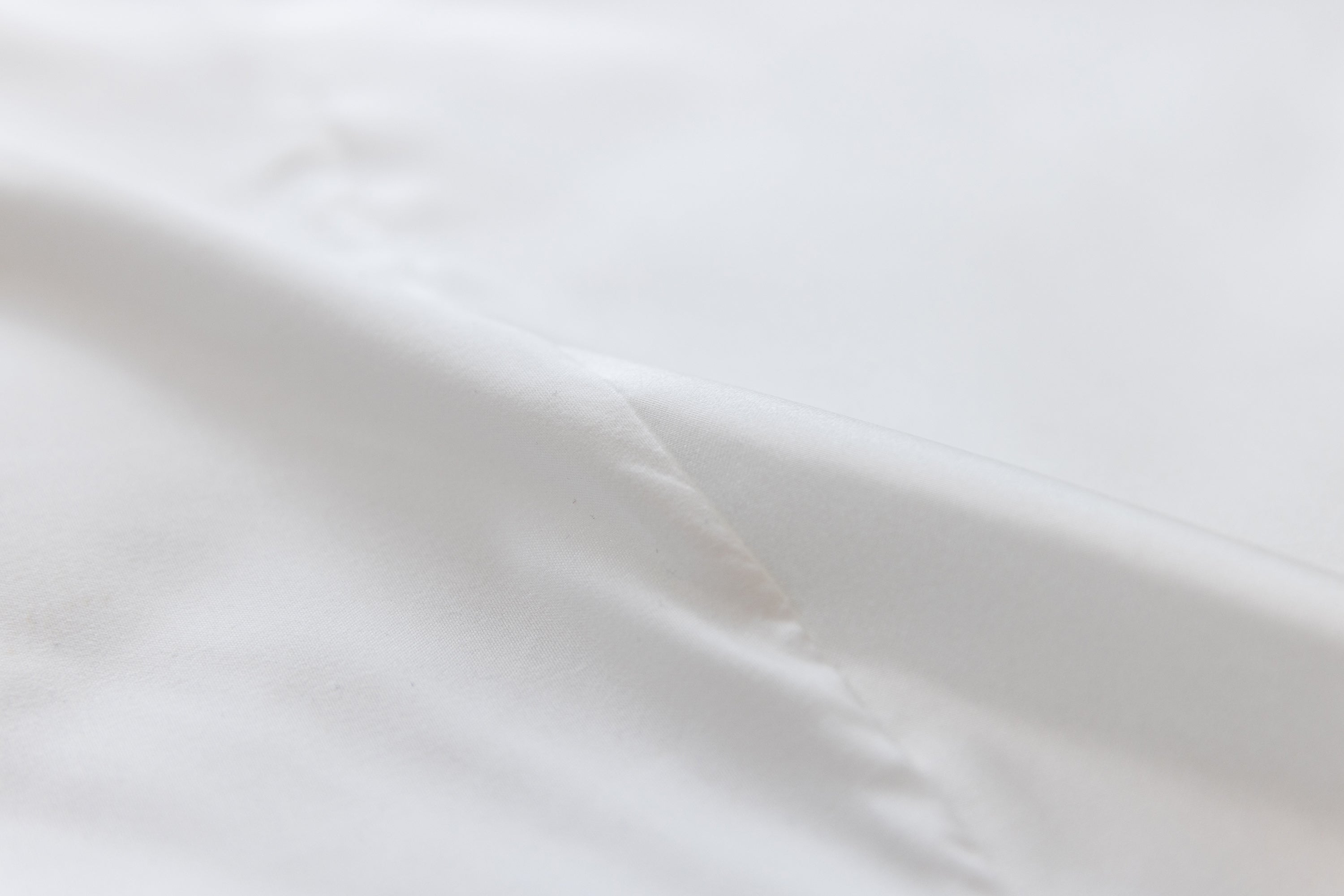 {カラー:ホワイト}