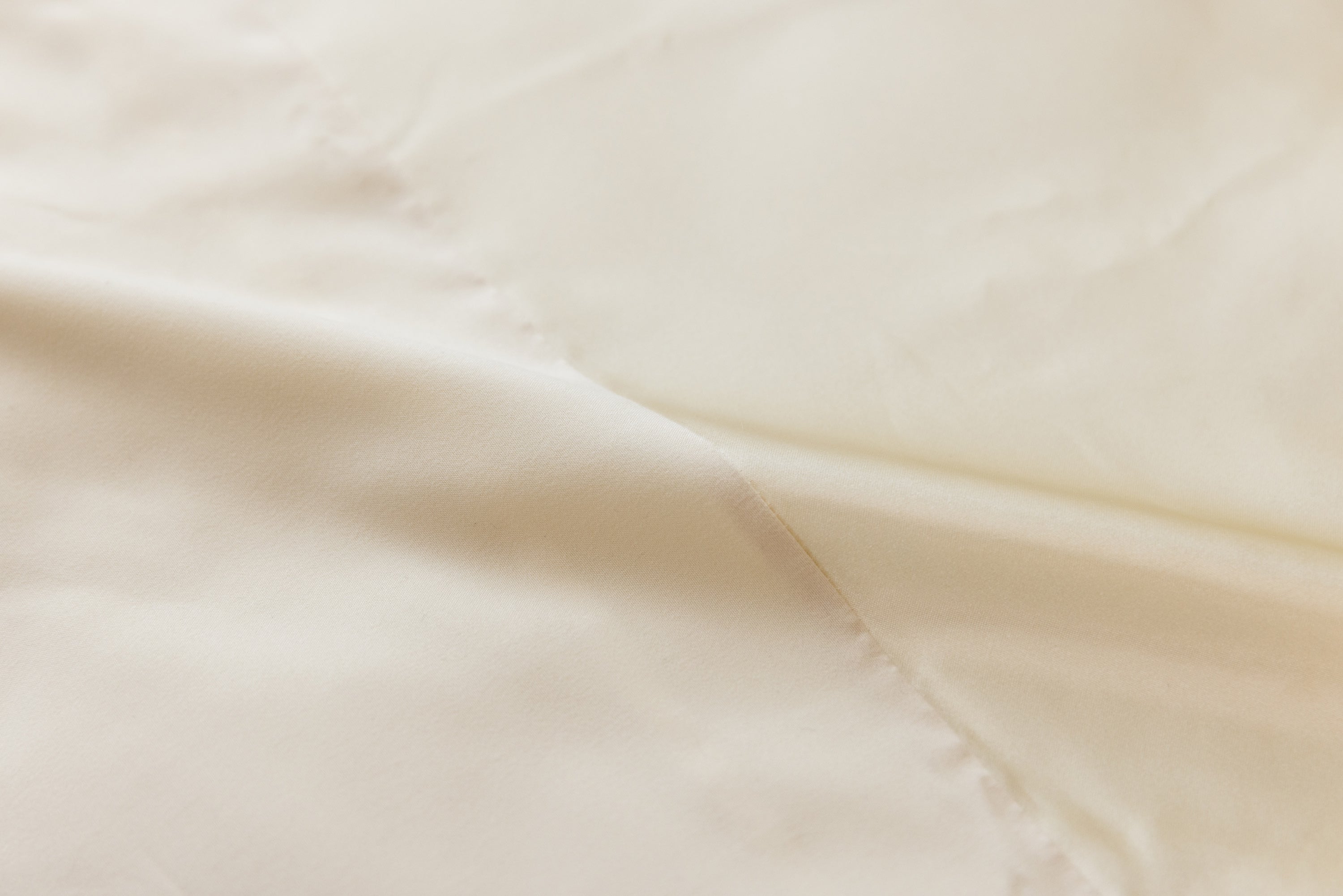 {カラー:ホワイトアスパラガス}